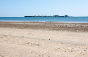 ����С��