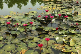 ����������������