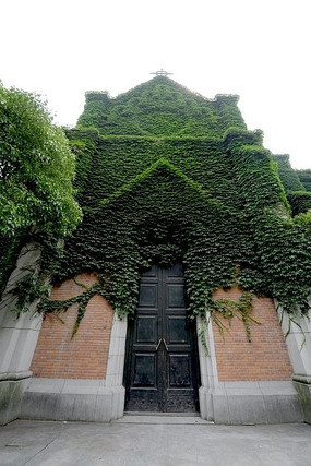 ���ò���