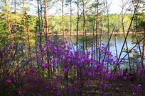 ��ˮ����