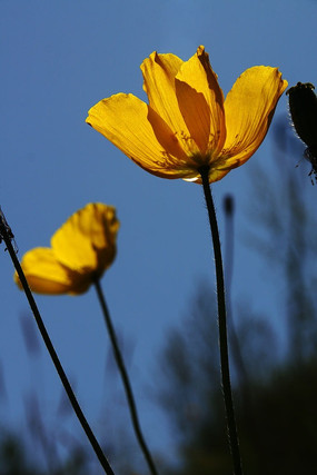 �����µĻƻ�