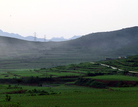 ��Ұ��ɫ����