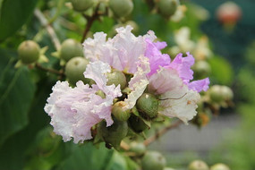 �Ͼ�����ʵ