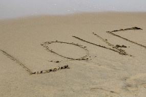 ������ɳ̲