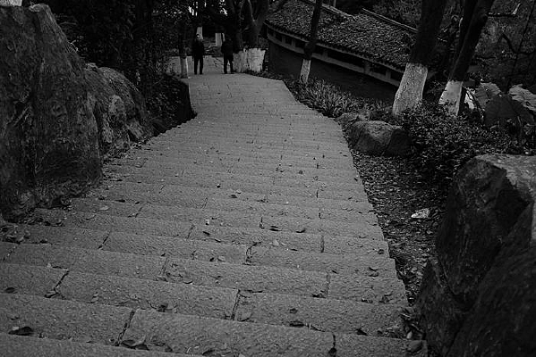 ����̨��