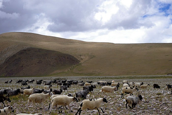 ���ص���Ⱥ