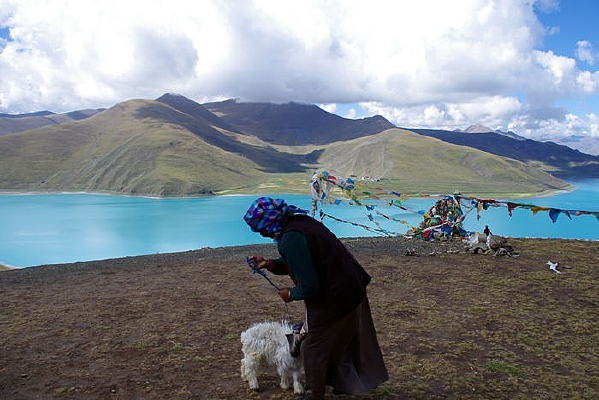 ������׿Ӻ��