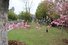 һ��������Ư���ĺ�ɫ����