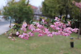 һ��Ư���������Ļ���