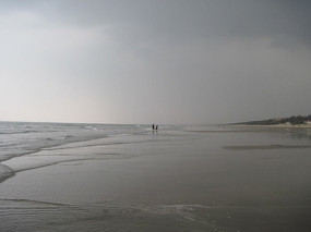 տ�����������