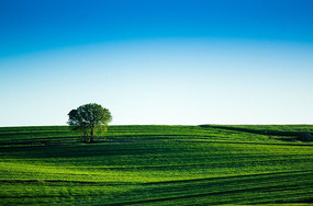 ��ԭ��һ����