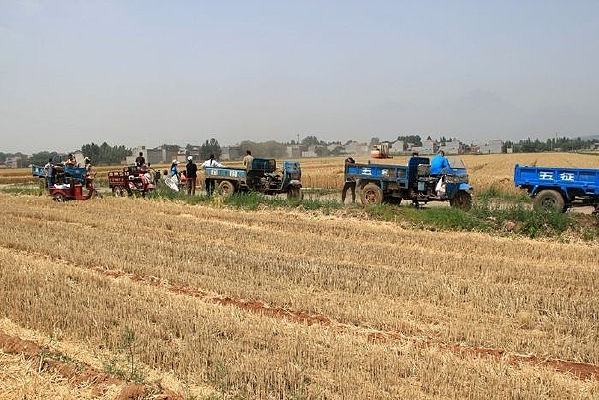 ũ������