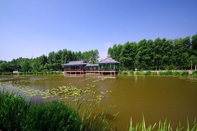 ���������ͤ