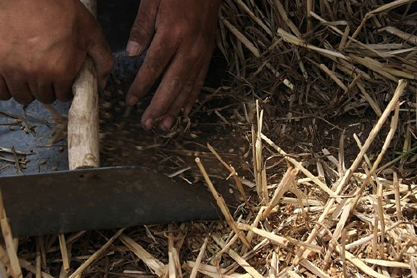 �������