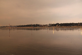 ����������ϼ