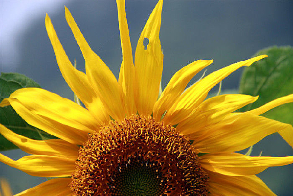 ��������Ļ�