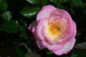 �ļ�����