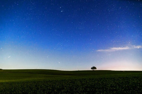 ��ɫ��������