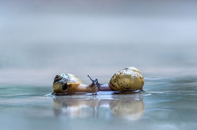 ������ֻ��������ţ