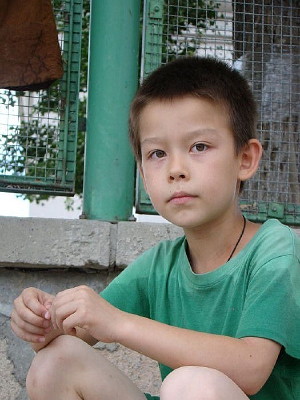 ���ŵĺ���