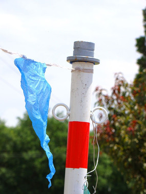 ���ƻ��������ʻ���