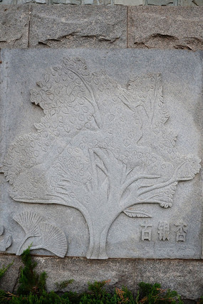 ���Ӹ���