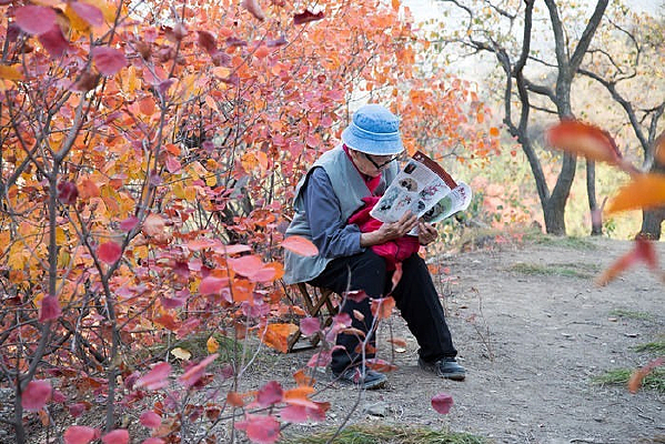 ��Ҷ���ж�������̫