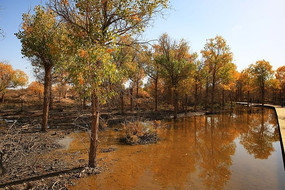 �����ϵĺ�����