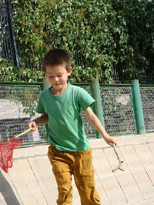 ���ŵĺ���