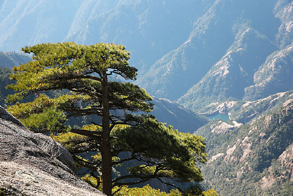 ɽ������