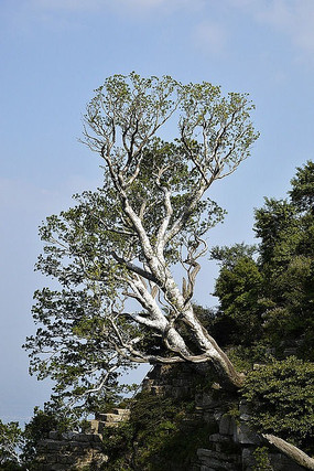 ̫��ɽ����ʯ