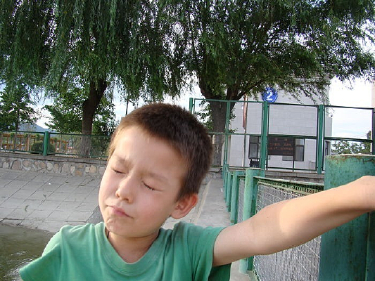 ��ץ���˵ĺ���