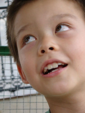 ̧�ۿ����������