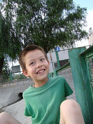 ������Ц�ĺ���