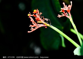 �ȴ�����