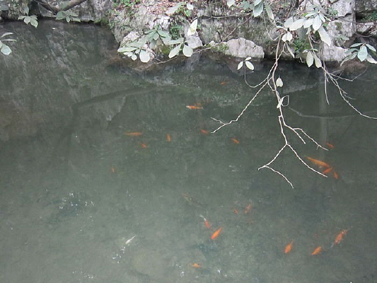 ����С��