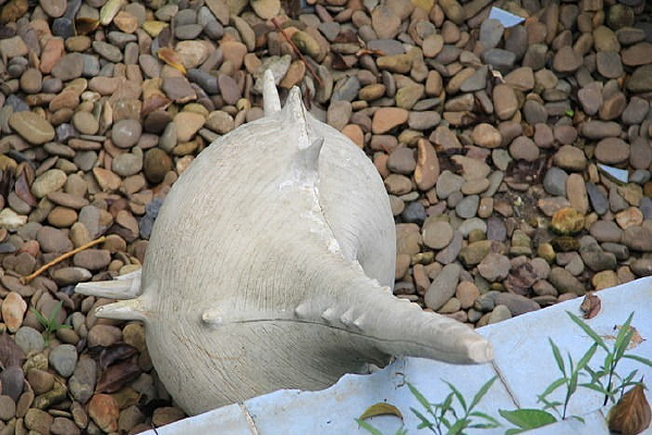 ���̵ĺ���