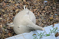 ���̵ĺ���