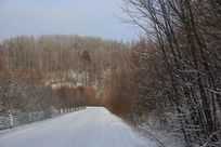 ���˰���Ķ����˲Ĺ�·