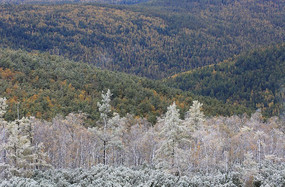 ���˰�����ڡ���