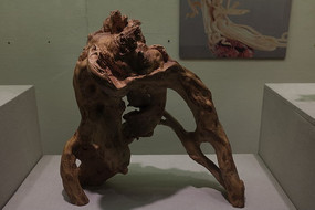 ����ľ�� ����