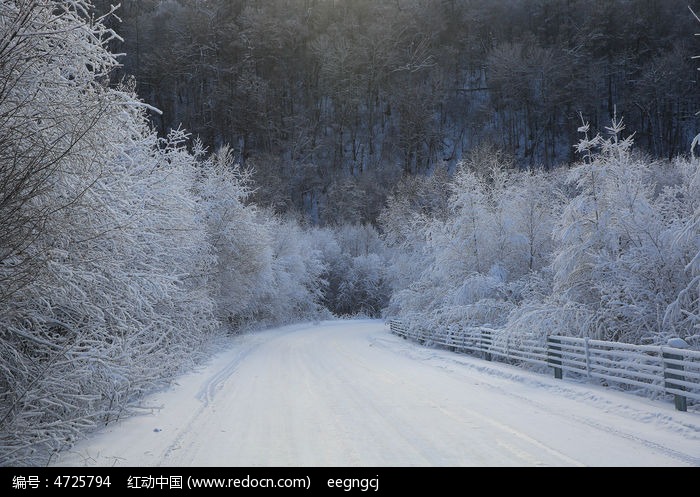 林区的冰雪路面