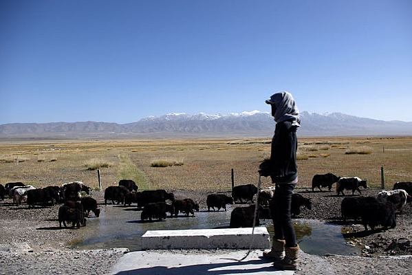 �ຣ������Ů