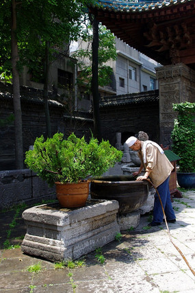 �������ڵ�԰��