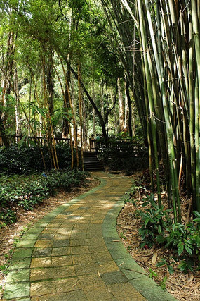 ����ľ��