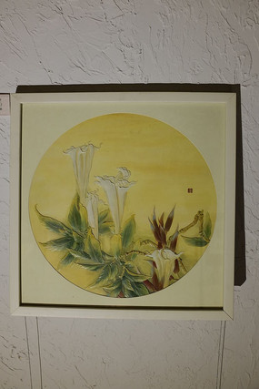 ��� ������