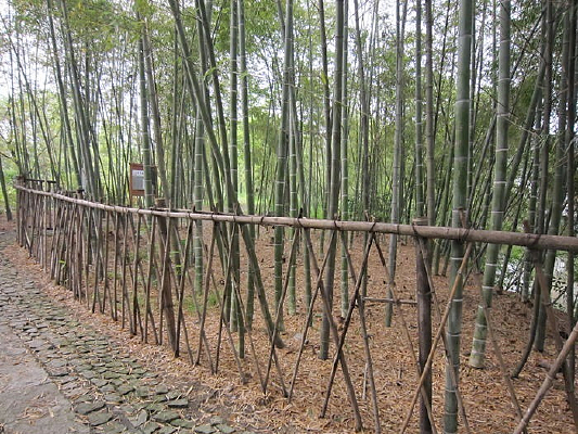 ������դ��