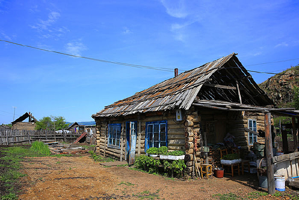 ����˹ľ����