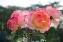 ���е��¼�