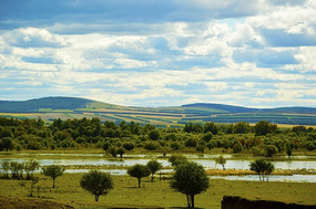 ����һ��